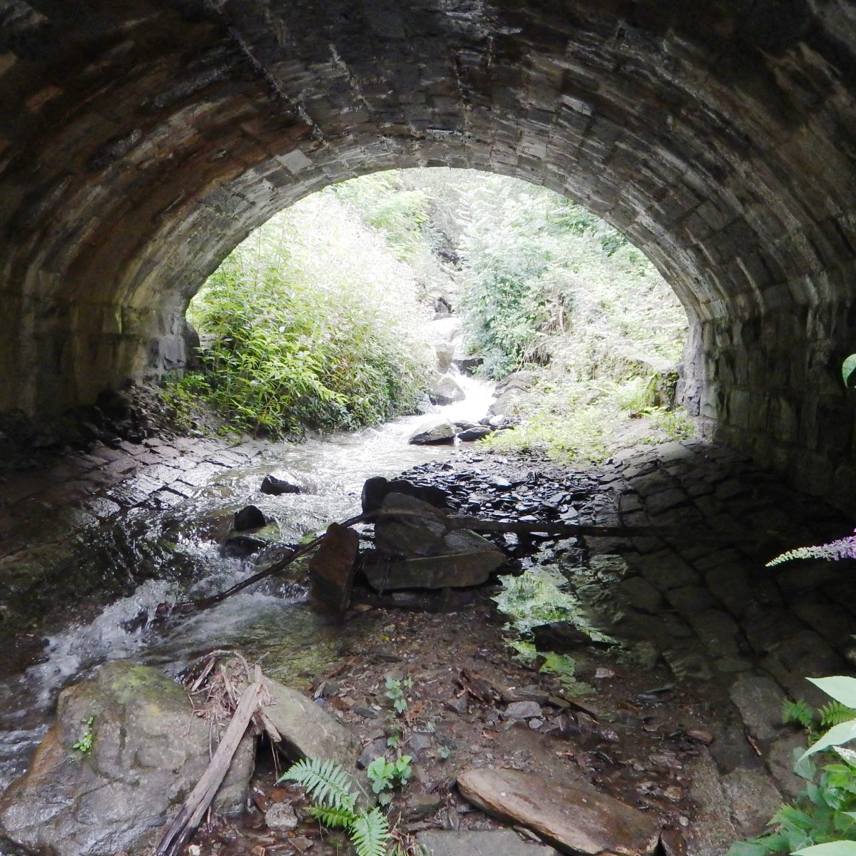 Sostituzione acquedotto esistente, Capriasca