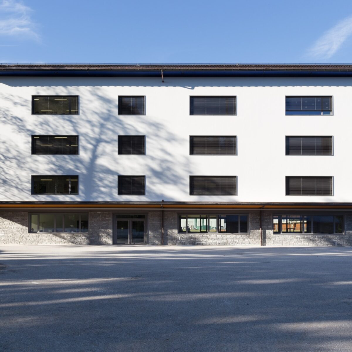 Scuola elementare, Tesserete