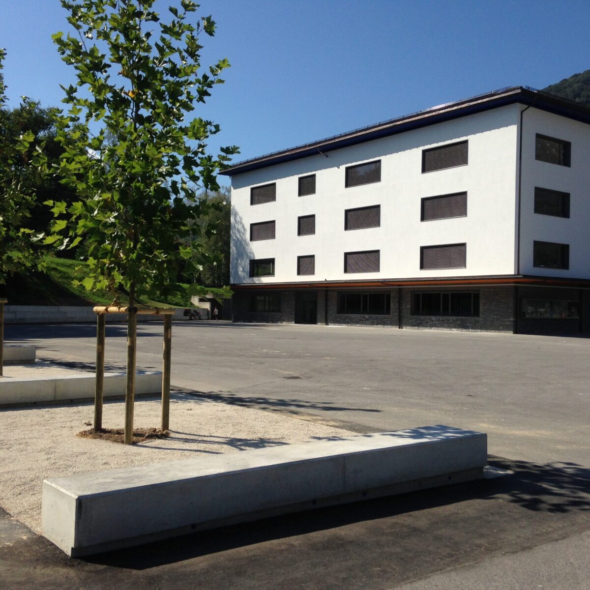 Scuola elementare, Tesserete