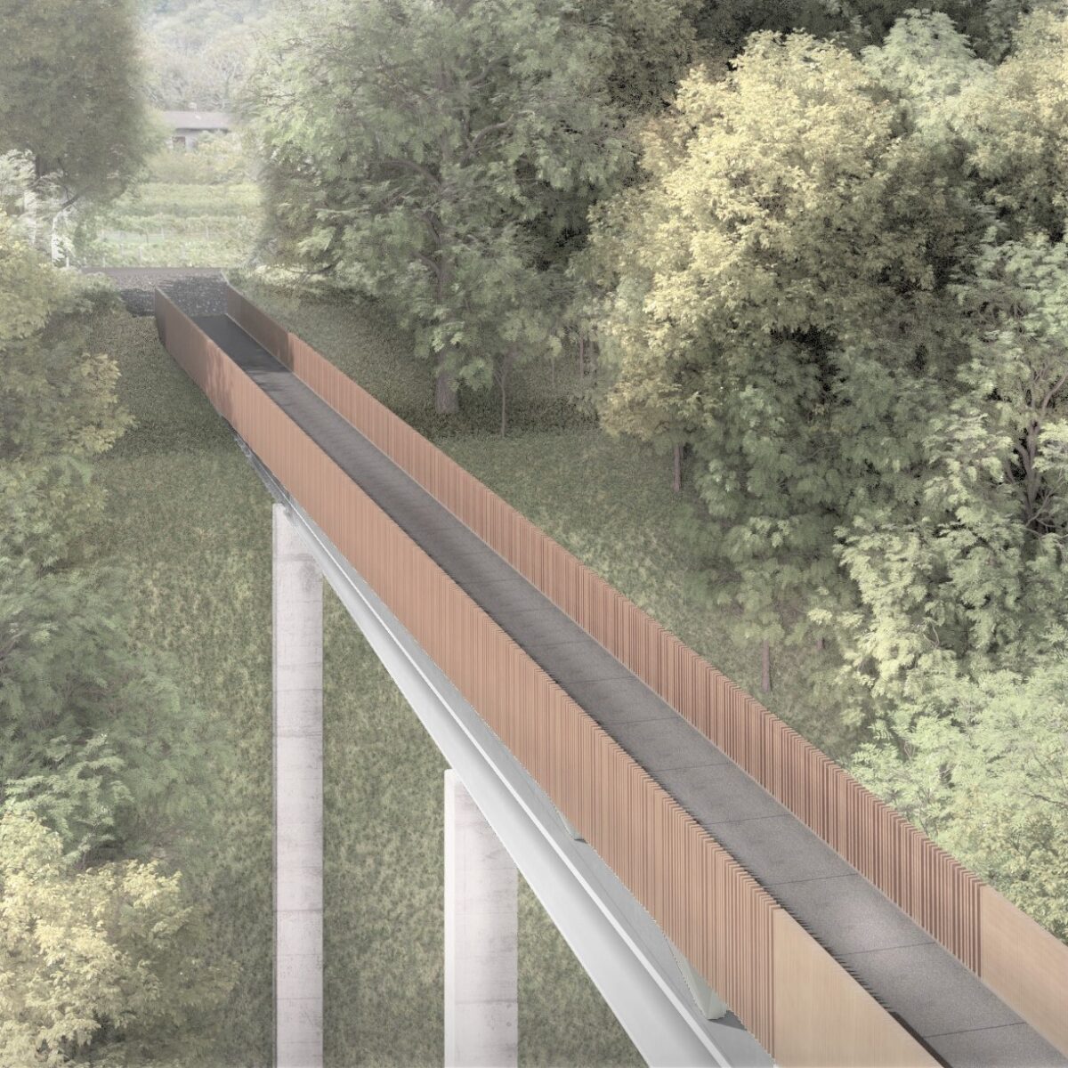 Ampliamento passerella Sarone, Capriasca