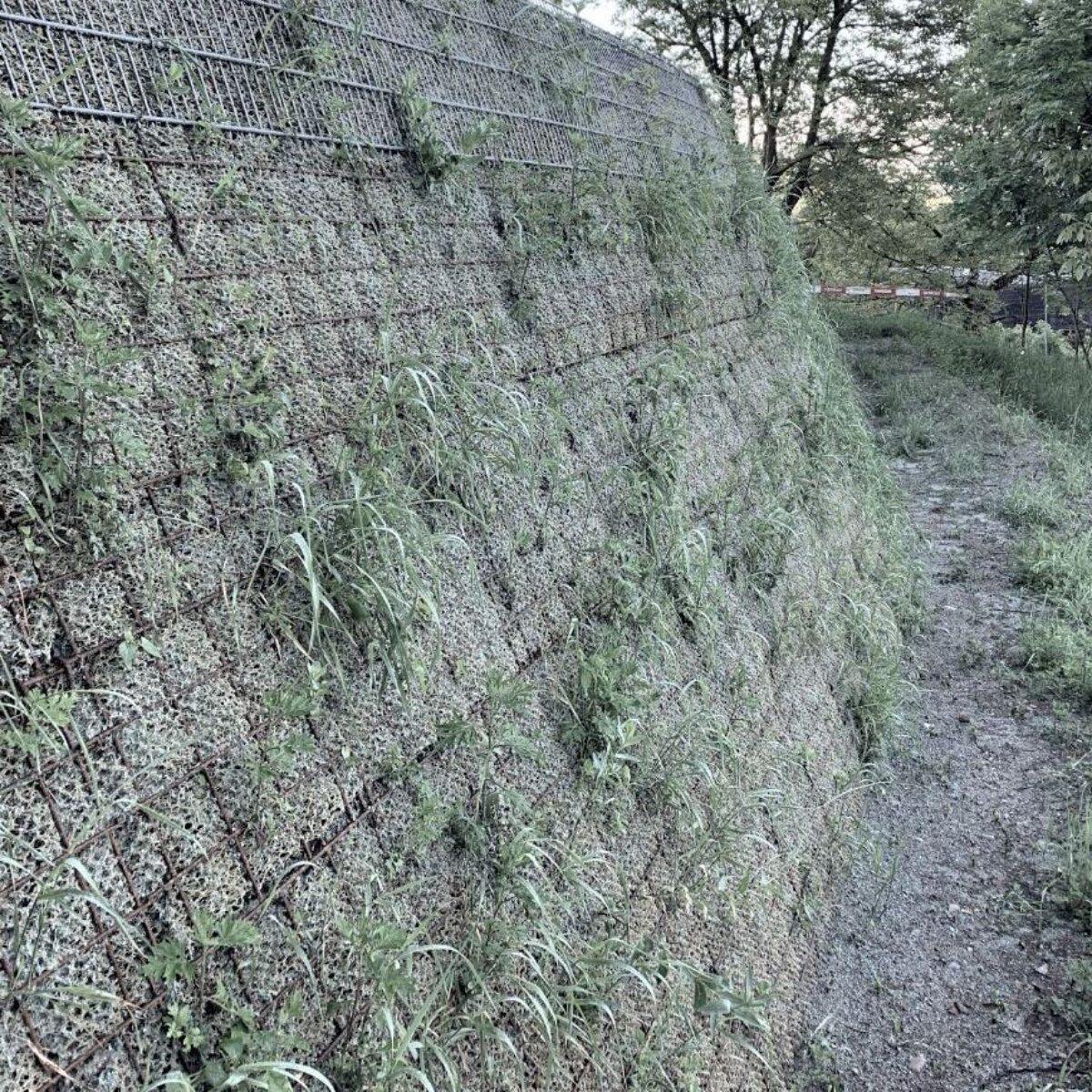 Ampliamento del posteggio comunale, Aranno