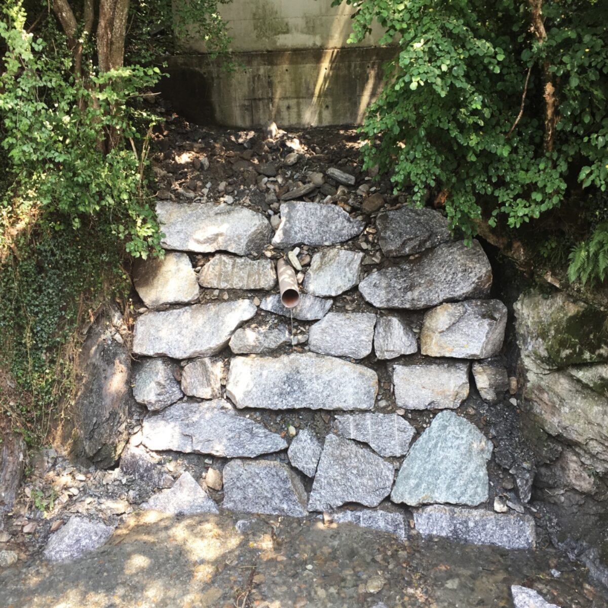Sistemazione torrente Capriasca – Tratta ponte Ressega-Piazza Lepori